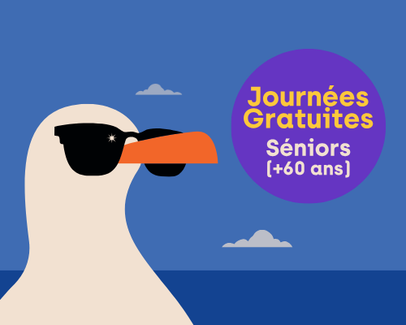 Journées Séniors