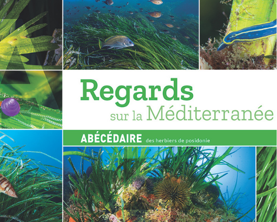Exposition  Regard sur la Méditerranée
