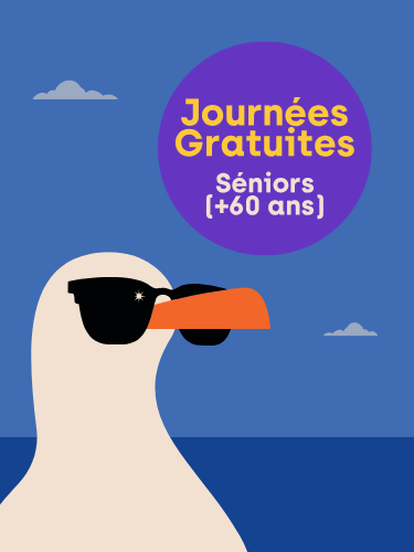 Journées gratuitesSéniors